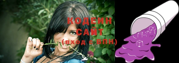 прущие грибы Арсеньев