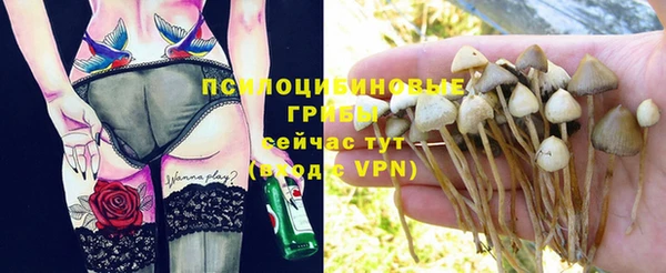 jwh Аркадак