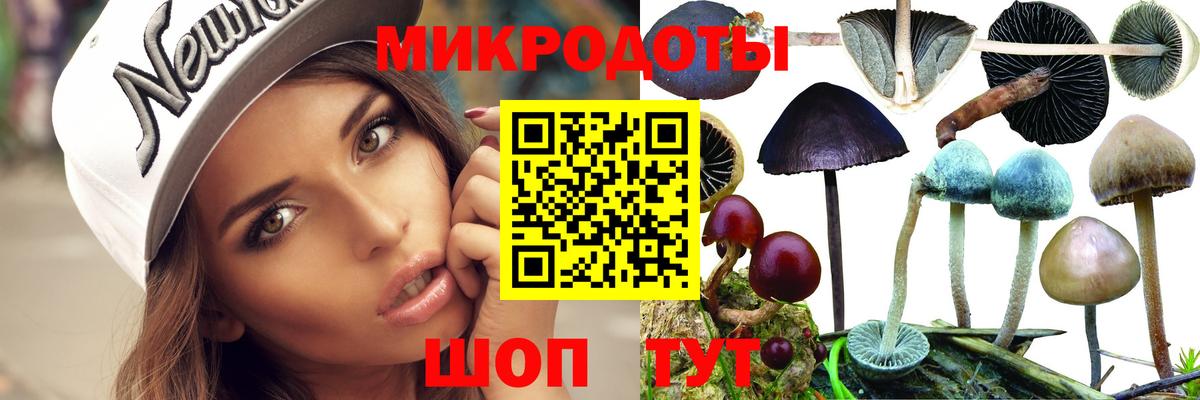 Псилоцибиновые грибы MAGIC MUSHROOMS Белогорск