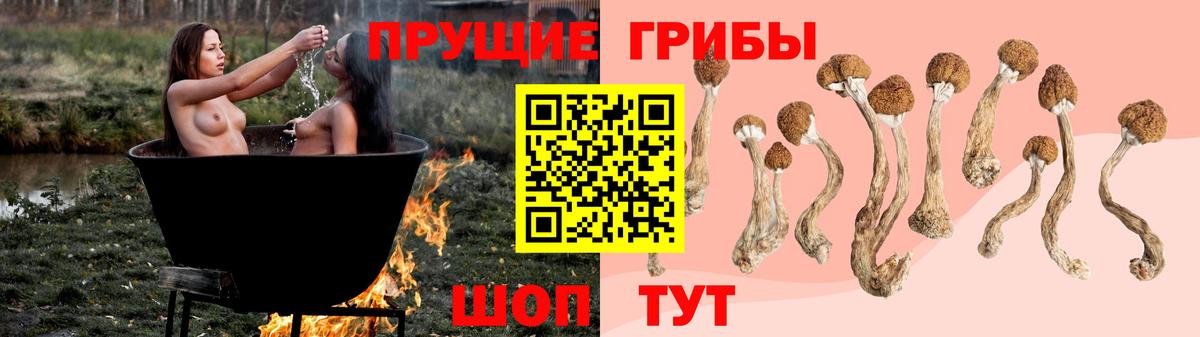 Галлюциногенные грибы мицелий  Вход с VPN  продажа наркотиков  Белогорск 